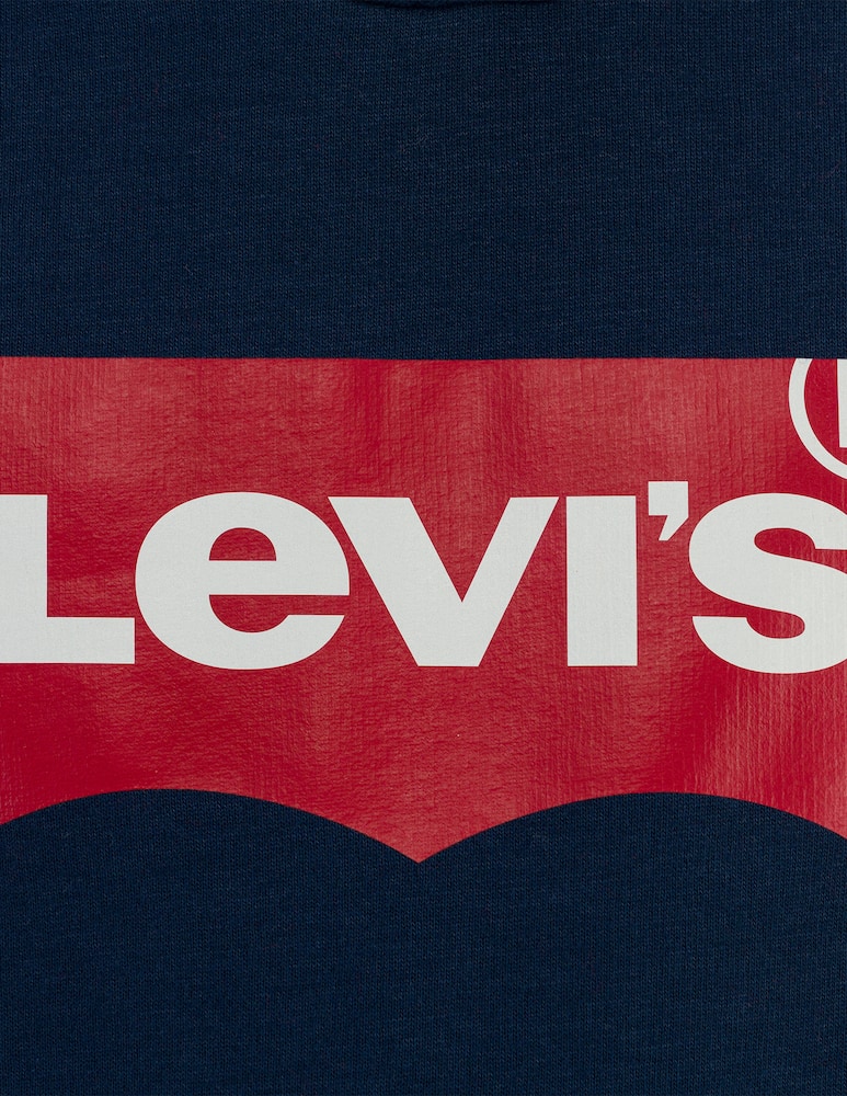 Levi's batwing screenprint hoodie - picture 4 Levi's batwing screenprint hoodie - picture 4