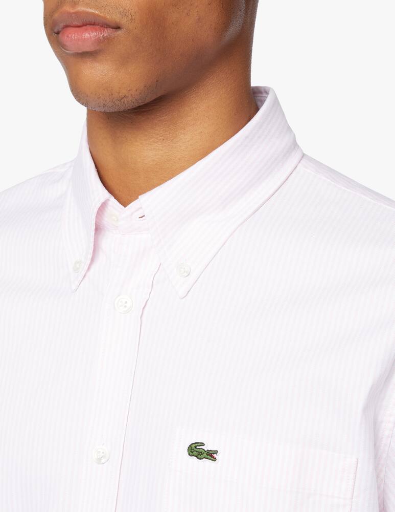 rinascente Lacoste Camicia manica lunga reg striped albini - bianco