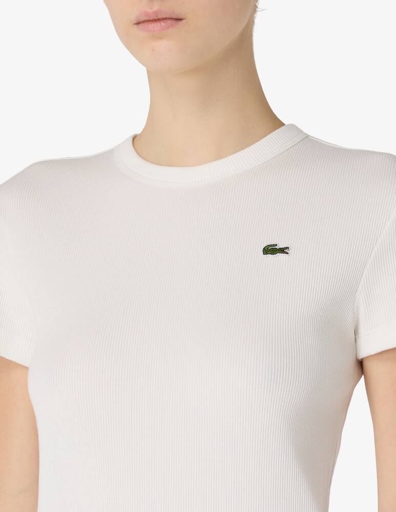 rinascente Lacoste Maglia a coste