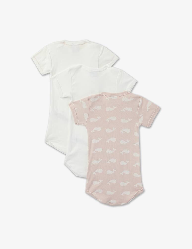 rinascente Petit Bateau Set of 3 cotton bodysuits