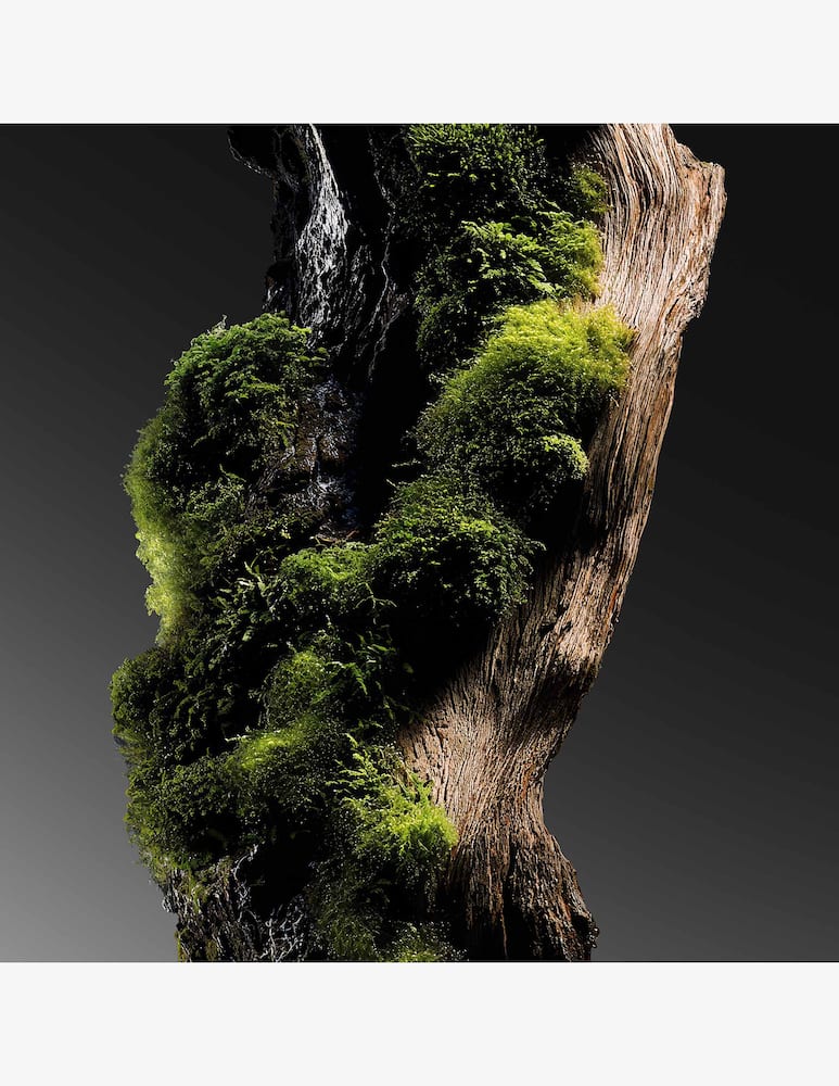 rinascente Kilian Paris Her Majesty Eau De Parfum