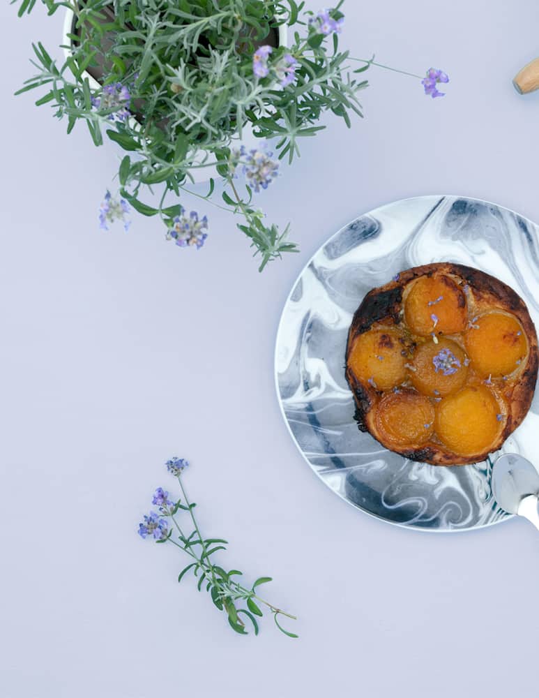 rinascente Prêt à Pousser Lavender Pod - Multi