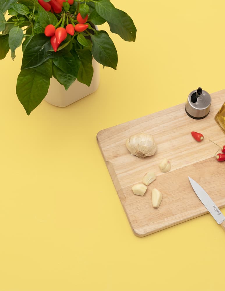 rinascente Prêt à Pousser Mini Peperoncini Capsula - Multicolor