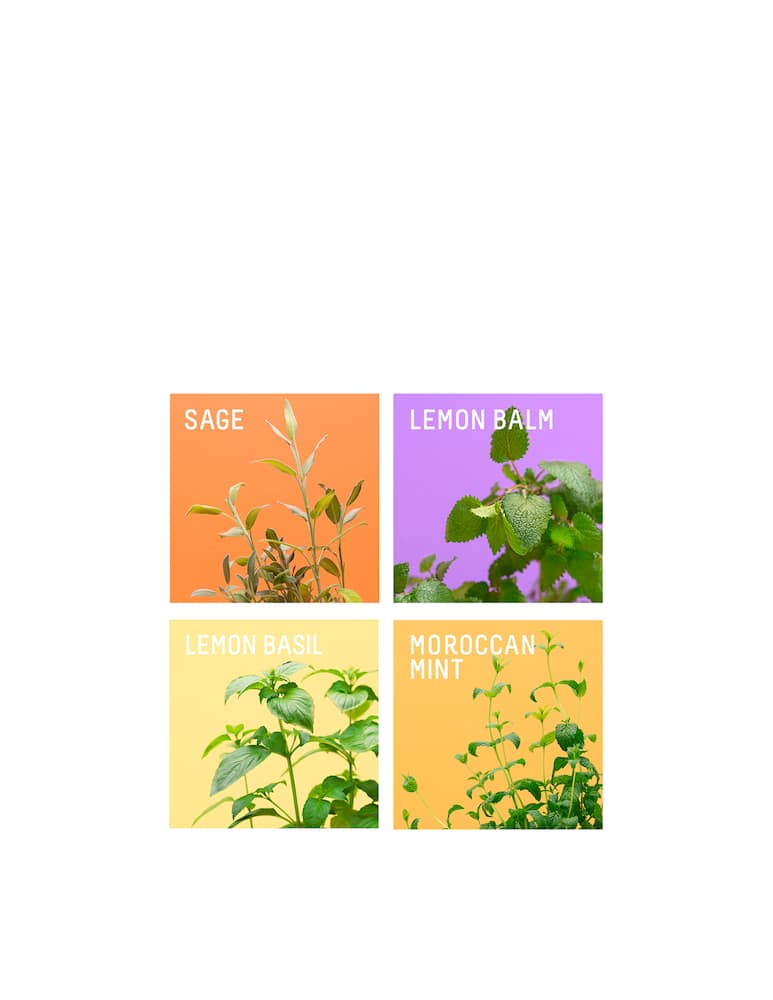 rinascente Prêt à Pousser Pack Of 4 Capsule Homemade Cocktail - Multicolor