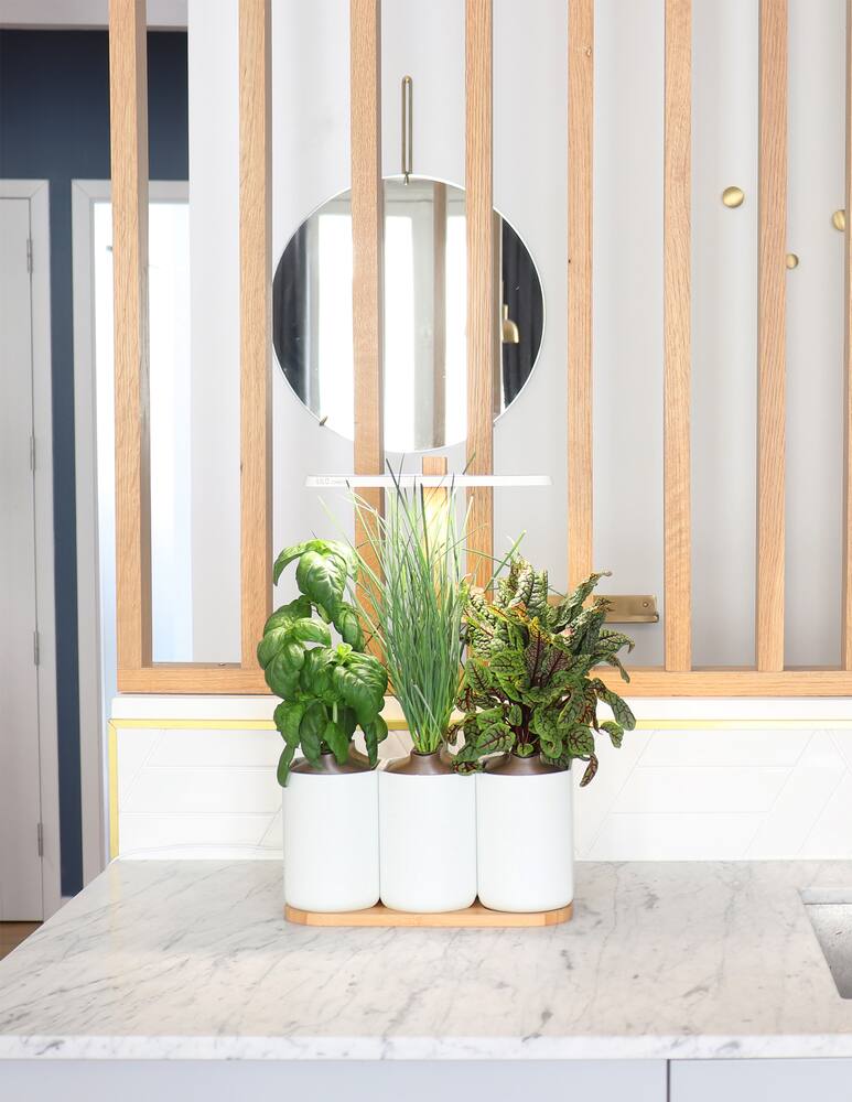 rinascente Prêt à Pousser Lilo Connect - White