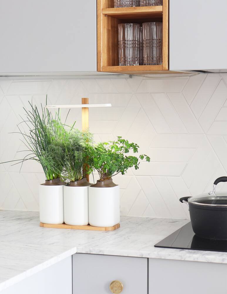 rinascente Prêt à Pousser Lilo Connect - White