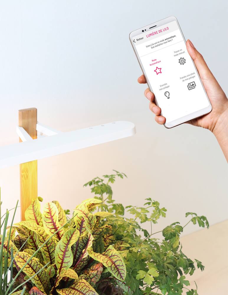 rinascente Prêt à Pousser Lilo Connect - White