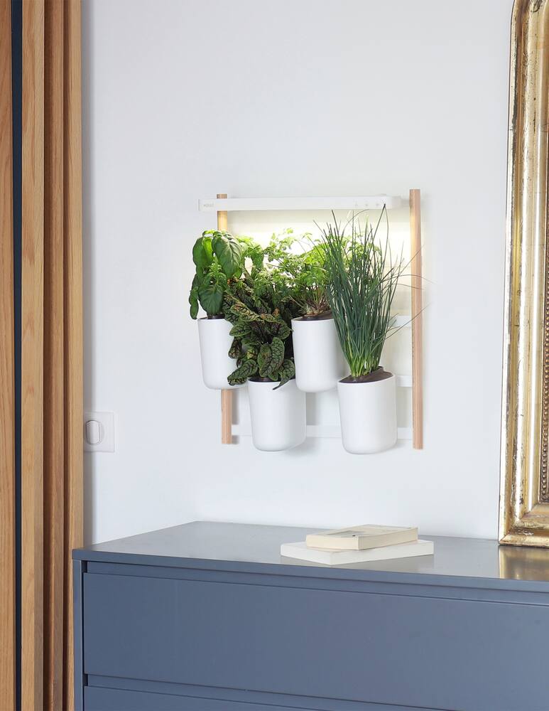 rinascente Prêt à Pousser Modulo The Modular Smart Indoor Garden - White