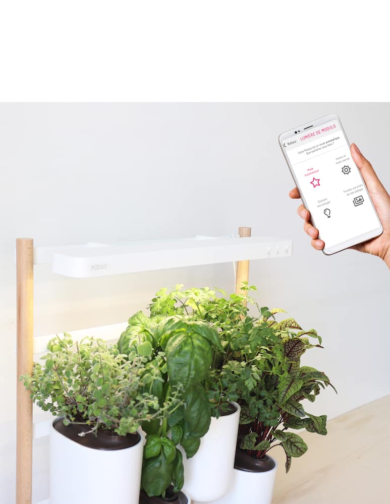 rinascente Prêt à Pousser Modulo The Modular Smart Indoor Garden - White