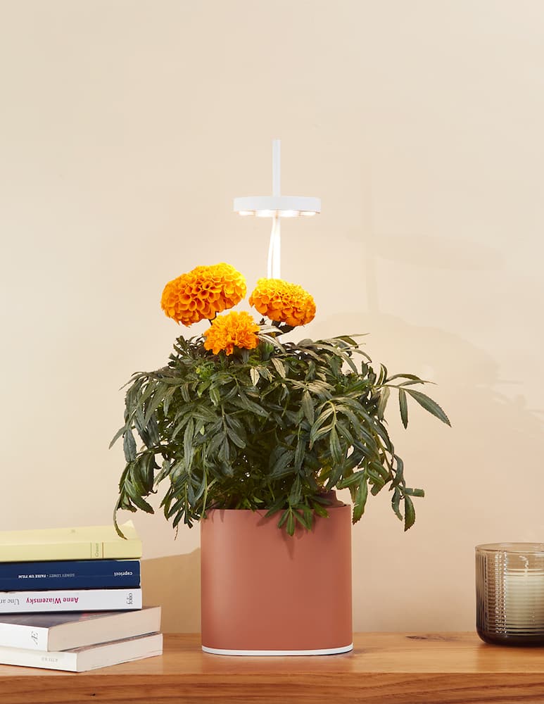 rinascente Prêt à Pousser Nano Garden The Connected Indoor Mini-Garden - Red