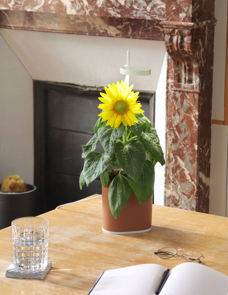 rinascente Prêt à Pousser Nano Garden The Connected Indoor Mini-Garden - Red