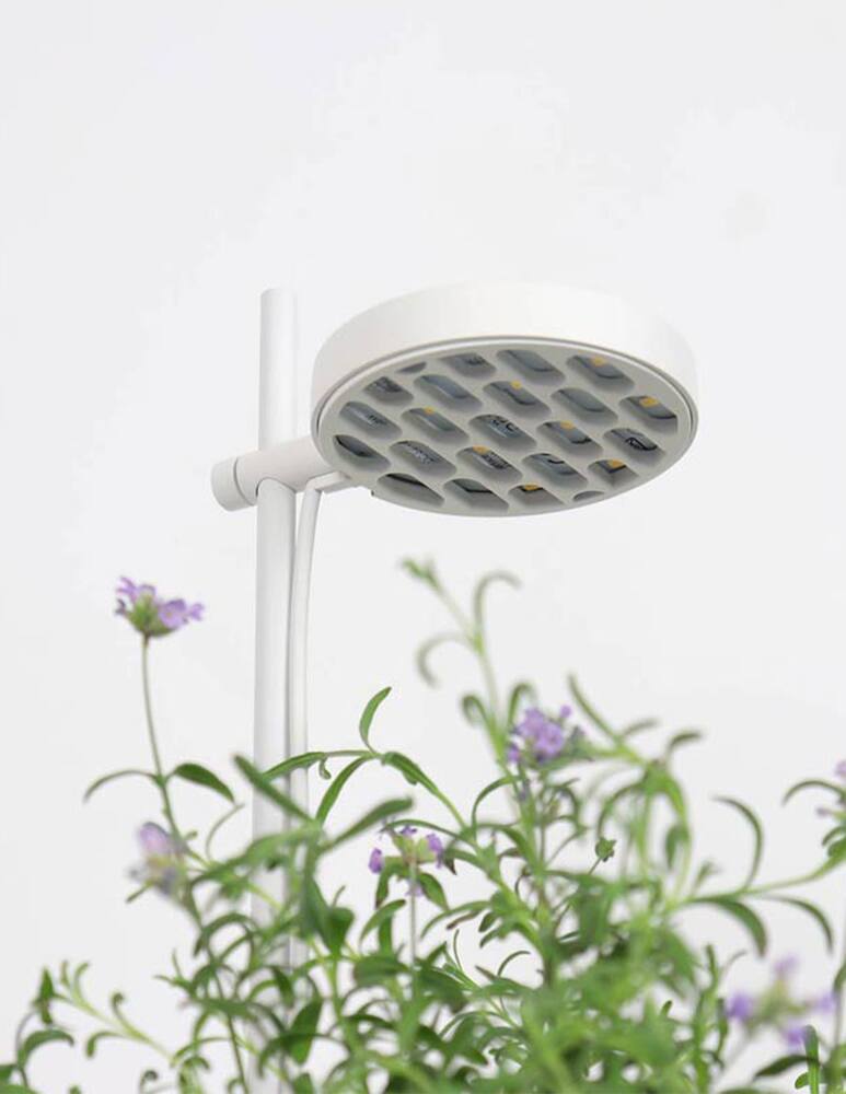 rinascente Prêt à Pousser Nano Garden The Connected Indoor Mini-Garden - Giallo