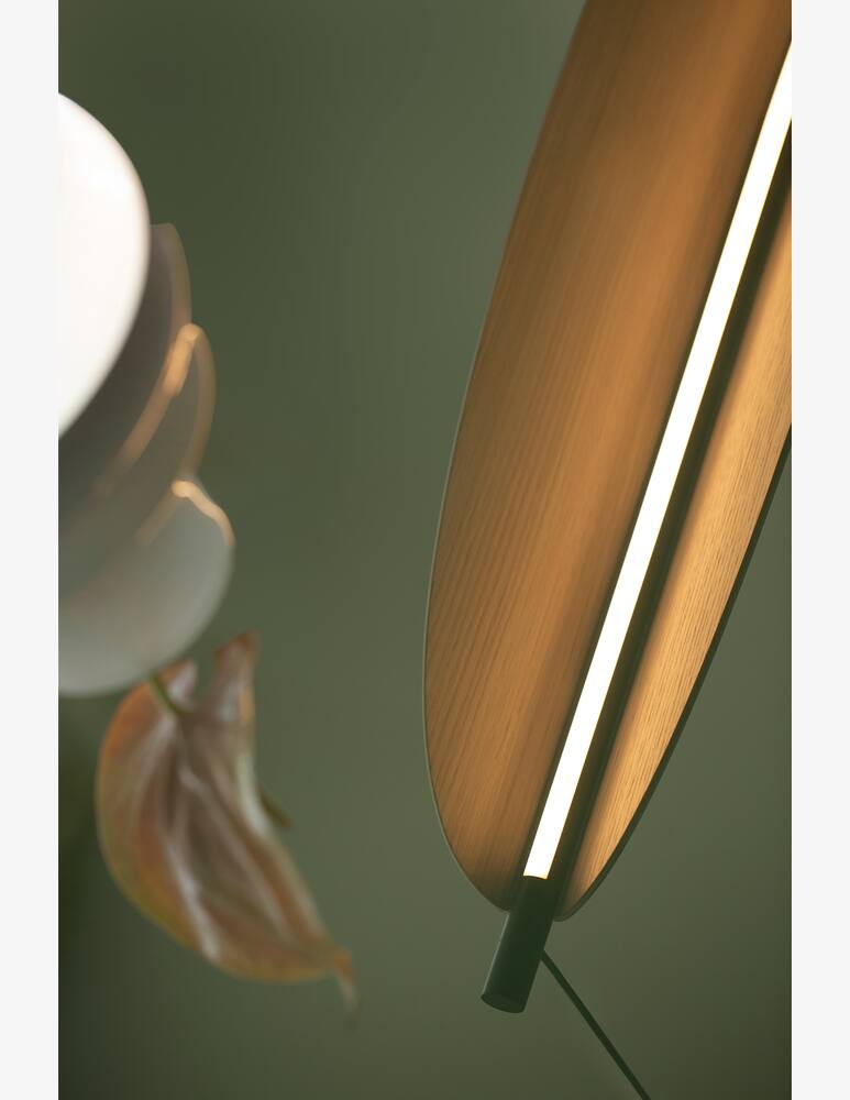 rinascente Tooy Thula Ceiling Lamp 562.22 LED Light Oak