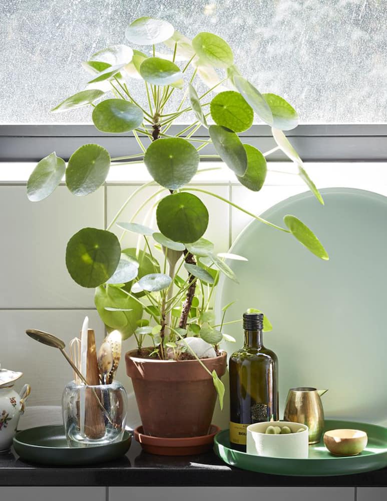 rinascente Vitra Trays set da 3 vassoi - Verde