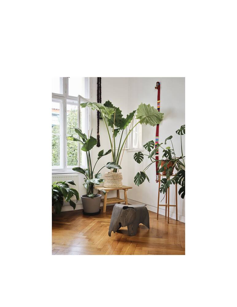 rinascente Vitra Eames Elephant Limited Edition - Grey