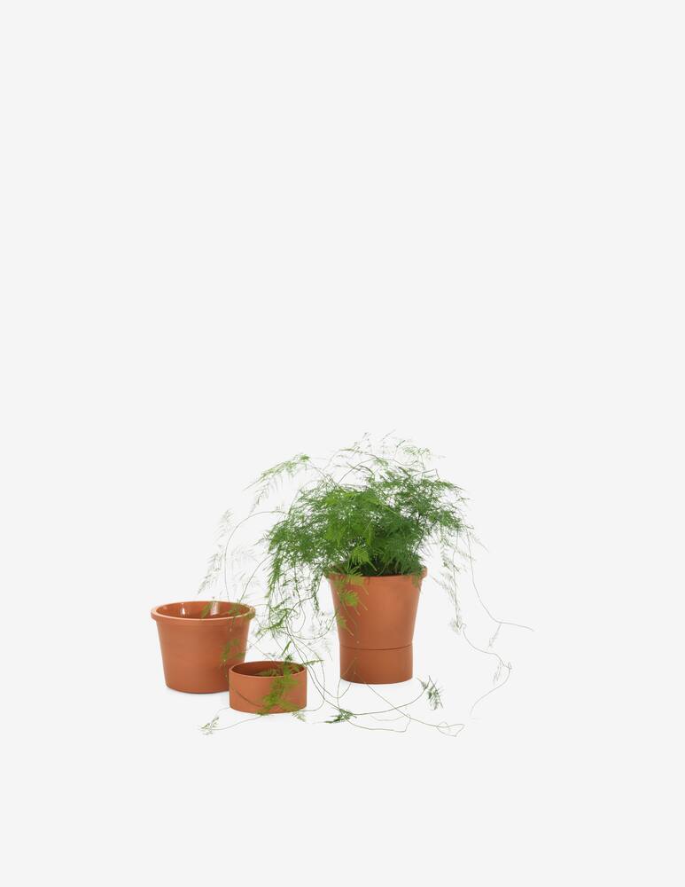 rinascente Vitra Terracotta Vaso, large