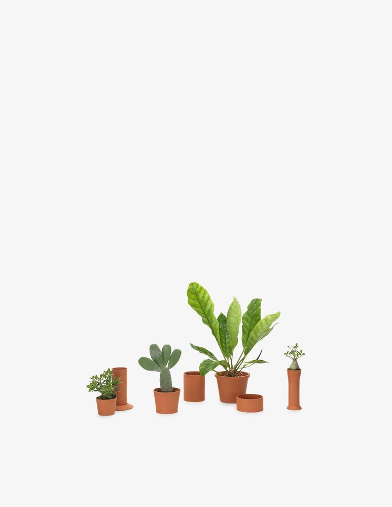 rinascente Vitra Terracotta Pot Vaso small