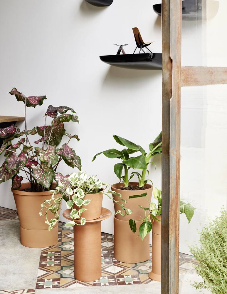 rinascente Vitra Terracotta Pot Vaso small