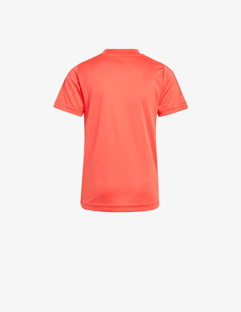 rinascente Adidas Originals Miky mouse t-shirt