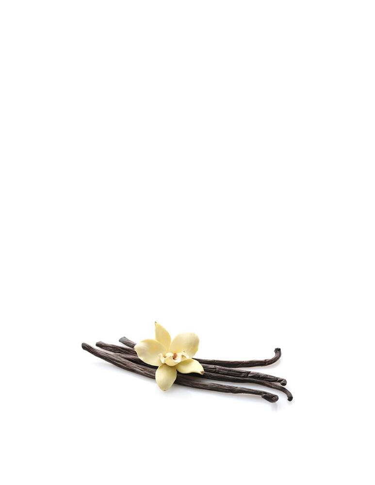 rinascente Longino & Cardenal Bourbon Vanilla Beans