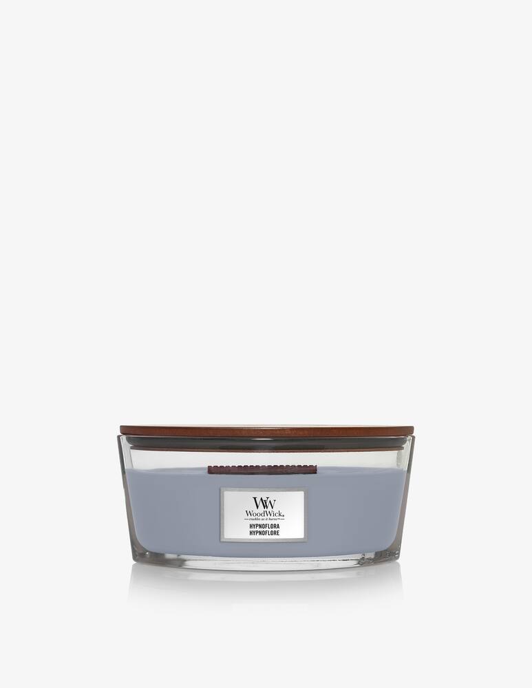 rinascente Woodwick Candela Ellipse Hypnoflora