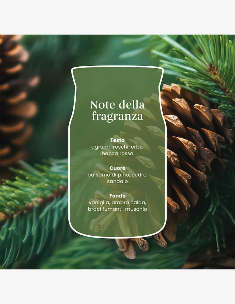 Yankee Candle Signature Giara Media Balsam & Cedar Fireside - immagine 3