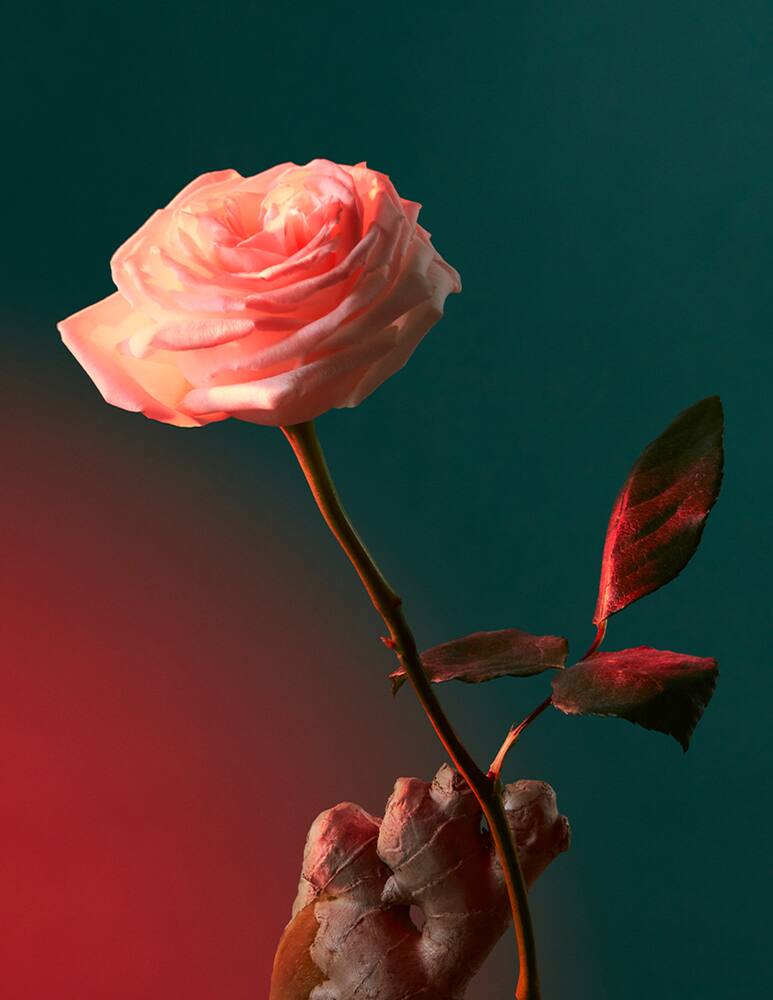 rinascente Penhaligon's Liquid Love Eau de Parfum