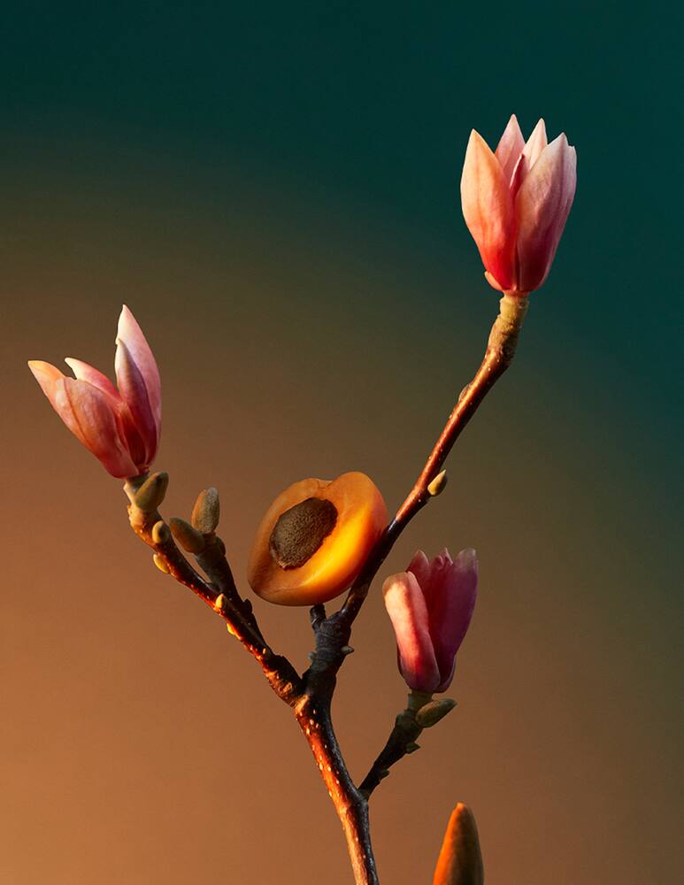 rinascente Penhaligon's Vra Vra Vroom Eau de Parfum