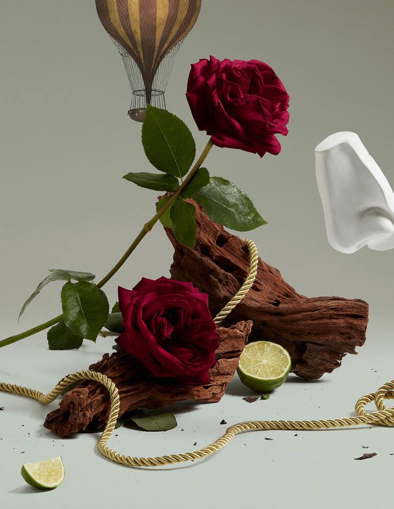 rinascente Penhaligon's Halfeti Body Lotion