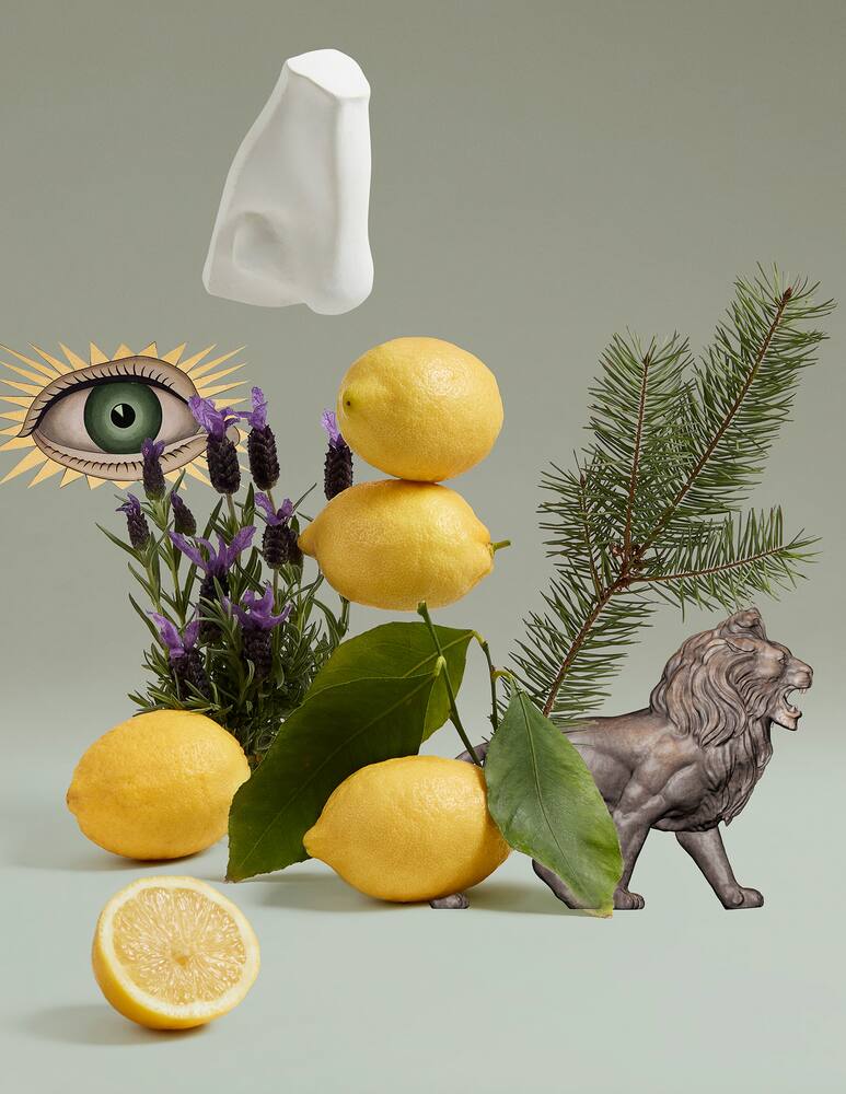 rinascente Penhaligon's Blenheim Bouquet Body Lotion