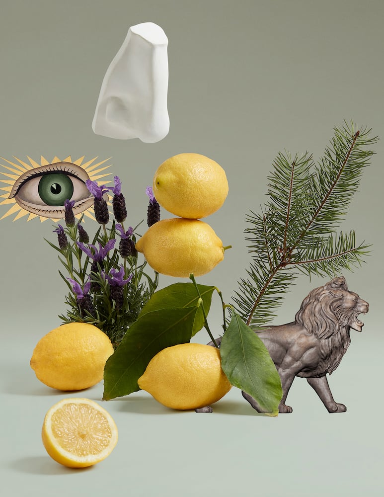 rinascente Penhaligon's Blenheim Bouquet Body & Hand Wash ​