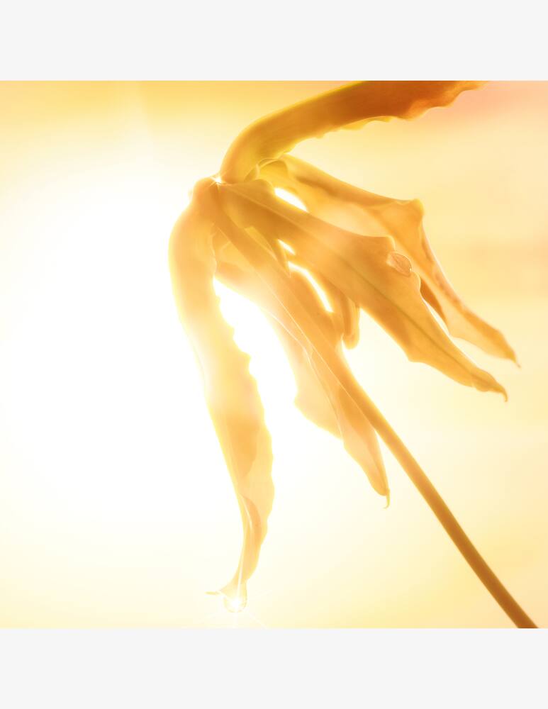 rinascente Charlotte Tilbury Joyphoria Edp