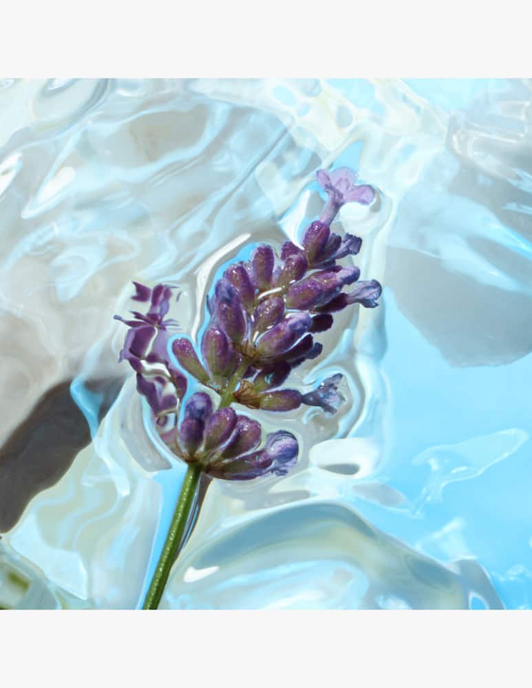 rinascente Charlotte Tilbury Calm Bliss Edp