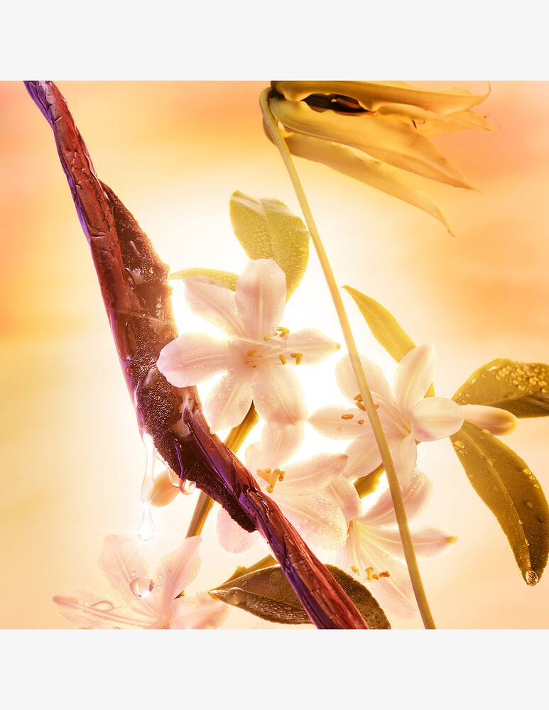 rinascente Charlotte Tilbury Joyphoria Edp