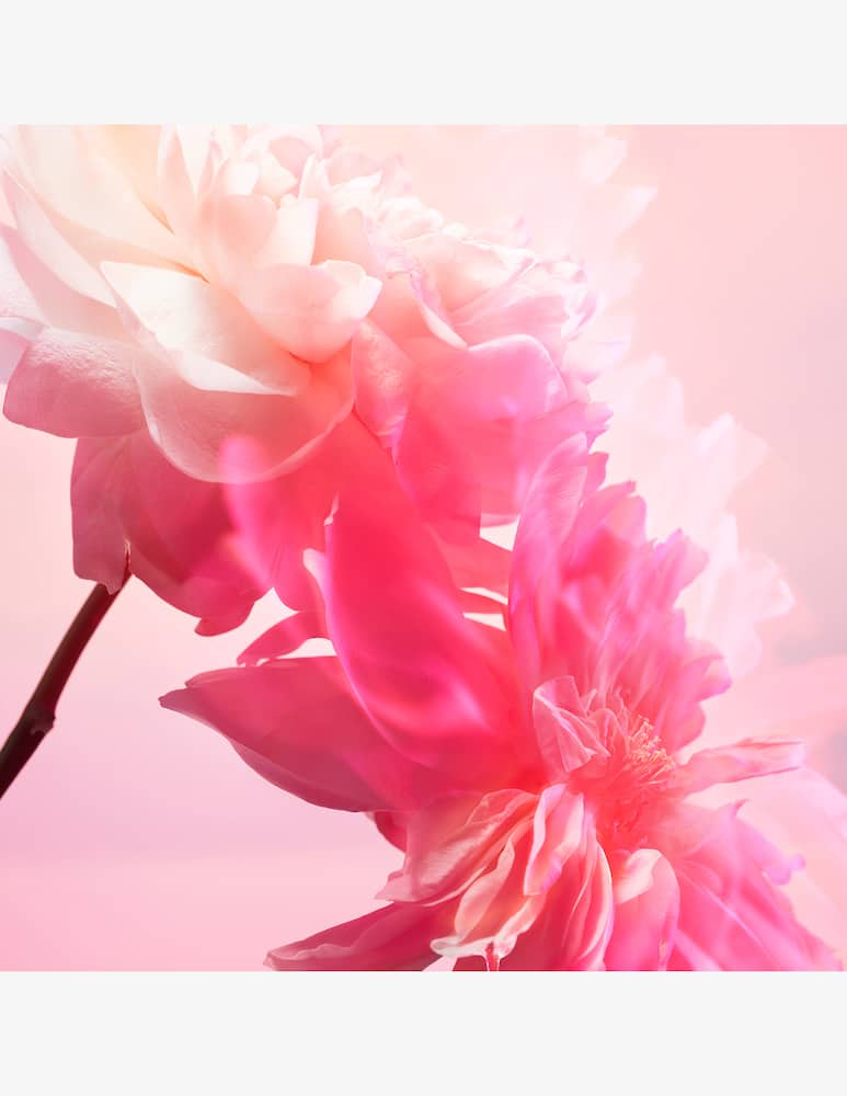 rinascente Charlotte Tilbury Pillow Talk Love Frequency Gift Set