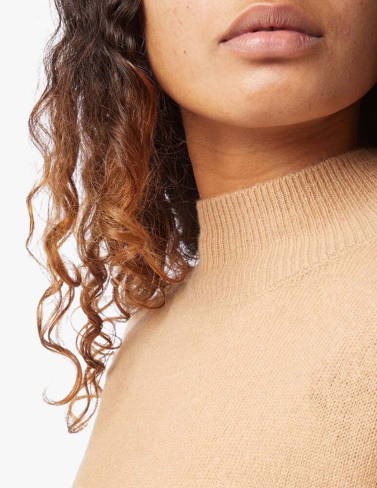 rinascente Brodie Cashmere Ivy mock neck jumper