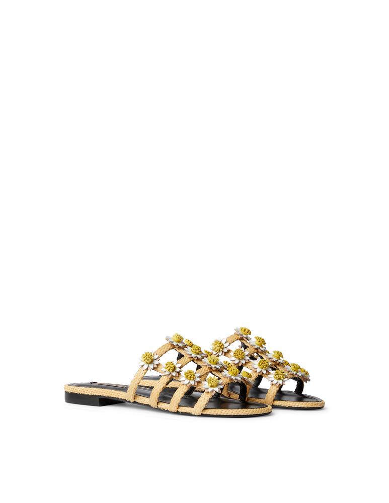 rinascente Fabrizio Viti Daisy slides