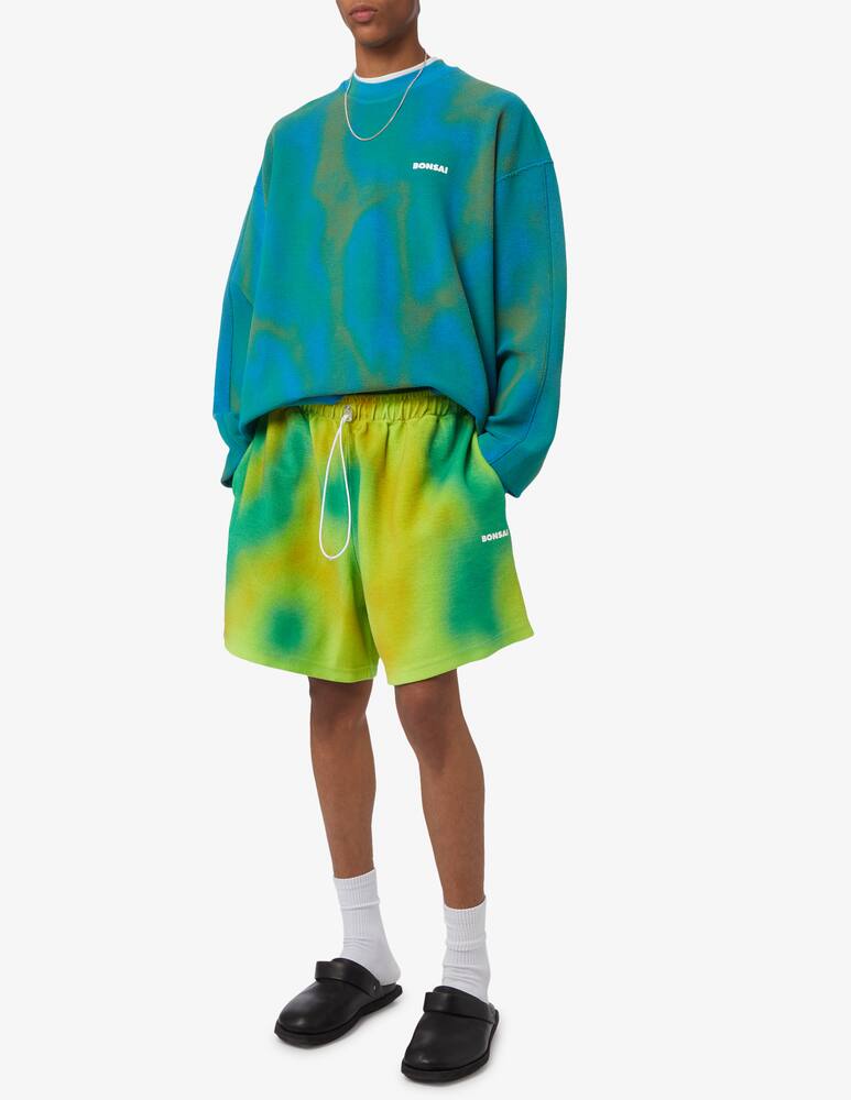 rinascente Bonsai Spray dyed logo crewneck sweater 