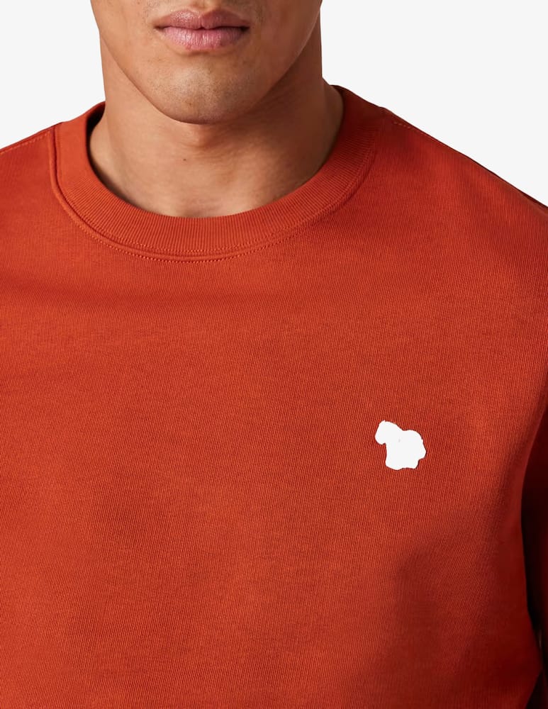 rinascente PS Paul Smith Zebra sweatshirt