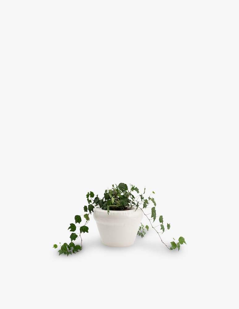 rinascente Home Studyo Vaso Pierre Gloss