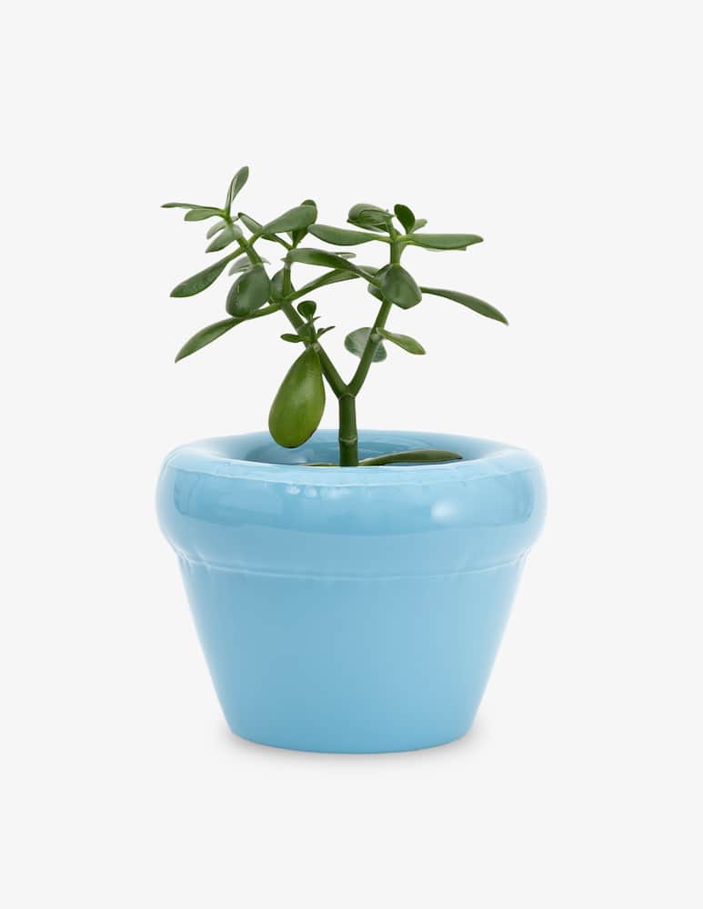 rinascente Home Studyo Pierre Vase Glossy