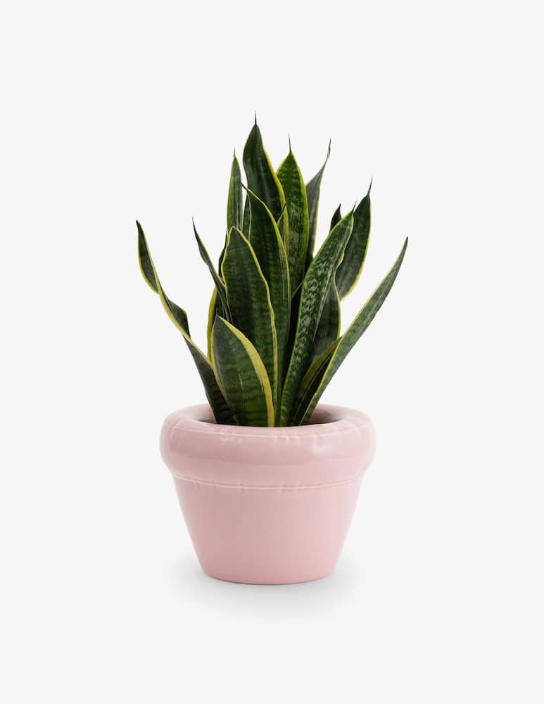 rinascente Home Studyo Pierre Vase Glossy