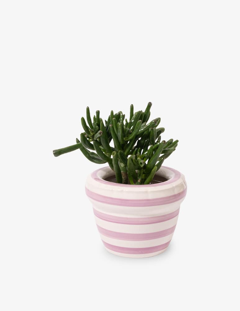 rinascente Home Studyo Vaso Piccolo Louis Stripes