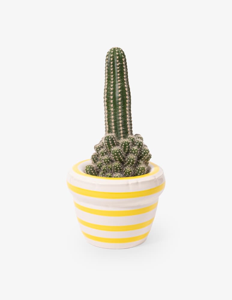 rinascente Home Studyo Small Louis Stripes Vase