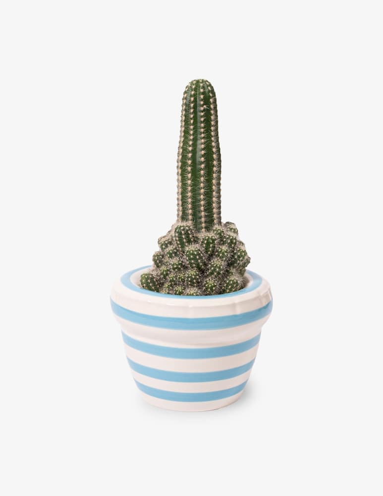 rinascente Home Studyo Small Louis Stripes Vase