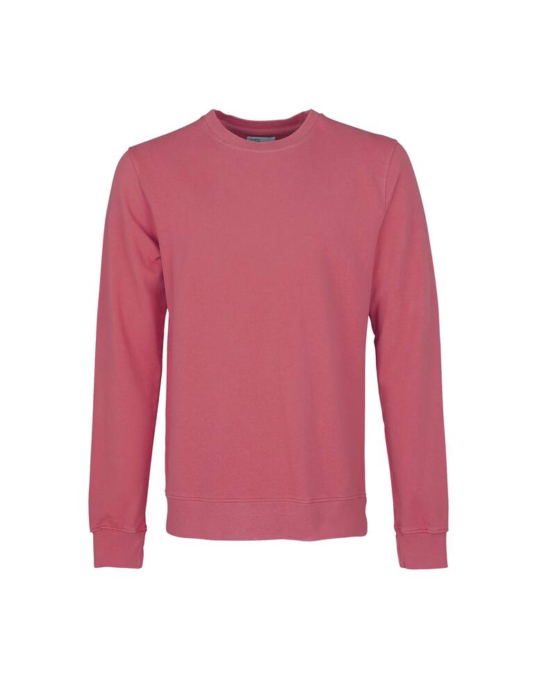 rinascente Colorful Standard Felpa girocollo in cotone biologico