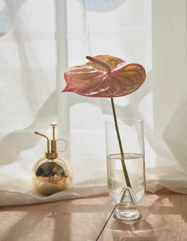 rinascente Aytm Glacies Vase