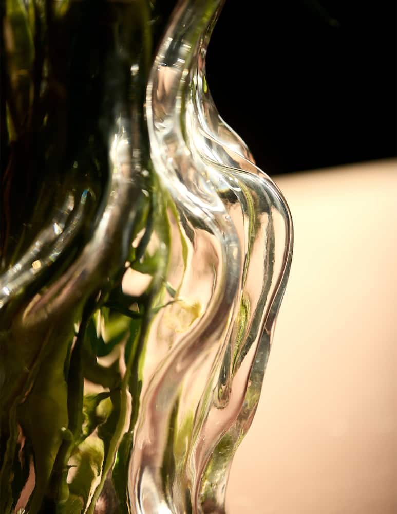 Aytm Vena Vaso M - immagine 4 Aytm Vena Vaso M - immagine 4
