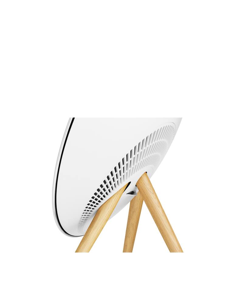 rinascente Bang & Olufsen Beoplay A9 altoparlante con Google Assistant