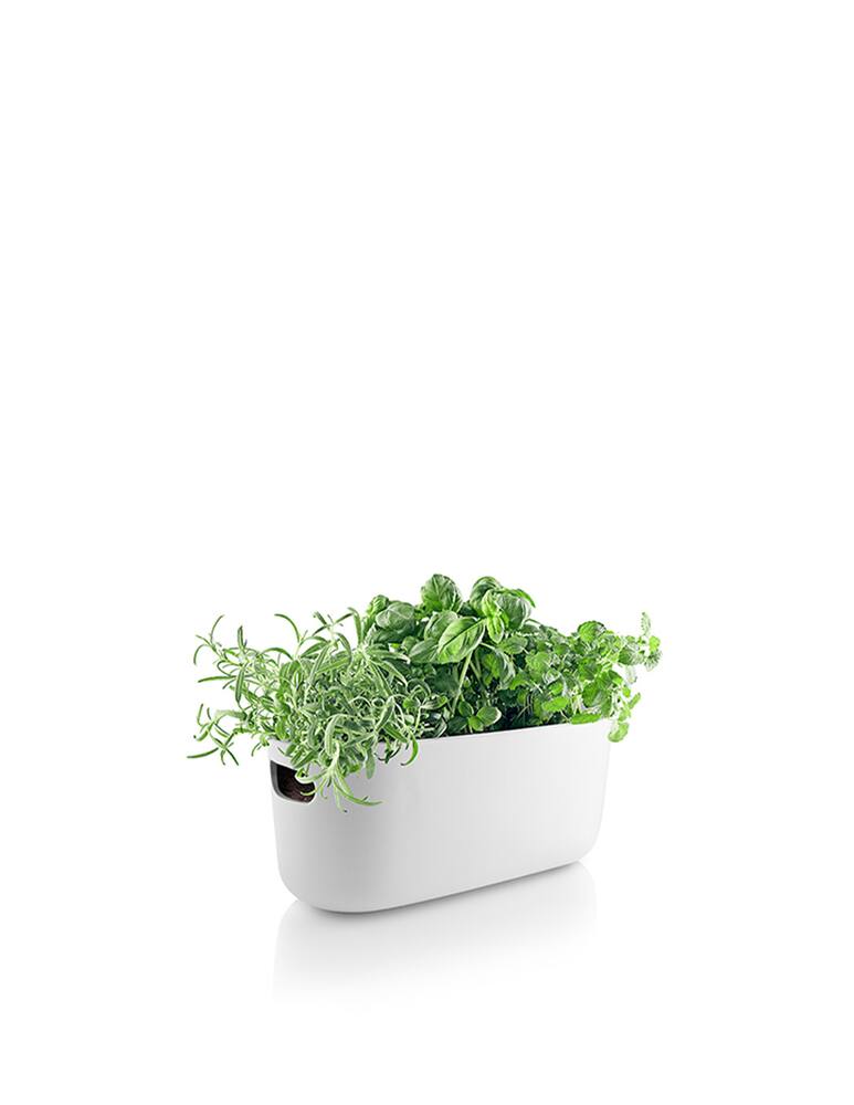 rinascente Eva Solo Self-watering herb organiser - White